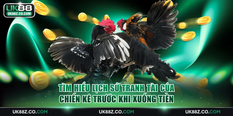 Tìm hiểu lịch sử tranh tài của chiến kê trước khi xuống tiền